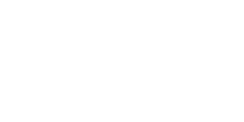 VUSS Logo weiß